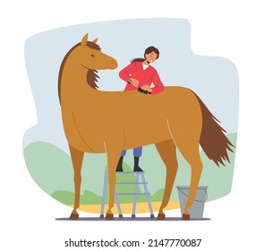 Cuidados de personajes femeninos de la limpieza de caballos y cepillado de la piel y el pelo con cepillo o peine Preparar Stallion para concurso o concurso de deportes ecuestres. Ilustración del vector de dibujos animados