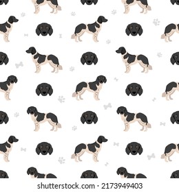 Stabyhoun coat colors, different poses seamless pattern.  Vector illustration