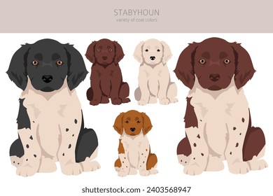 Stabyhoun puppies coat colors, different poses clipart.  Vector illustration