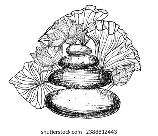 Pila de guijarros planos con láminas y hojas rosadas. Ilustración vectorial dibujada a mano de piedras de equilibrio y lirio de agua sobre fondo blanco aislado. Dibujo lineal de rocas para meditación y Zen.