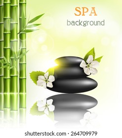 Stack of spa stones with cherry white flowers sunlight and bamboo with reflection on light-green background