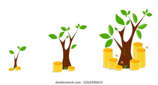 Stack of the tree that grows. Financial concepts and trees that are growing. Investing money and financial growth success concept. Growing plant in process, concept of planting.	