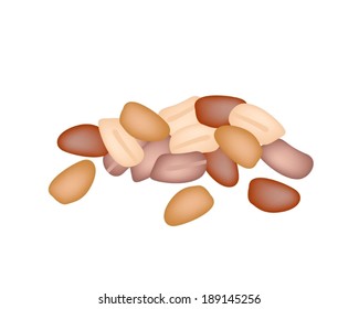 A Stack of Whole and Half Dried Peanuts on A White Background, Good Source of Dietary Fiber, Vitamins and Minerals. 