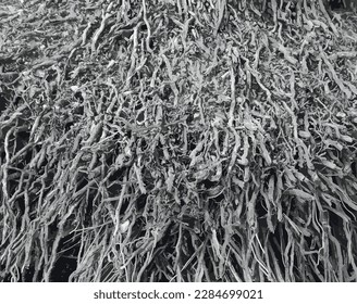 stacked twigs creating thick medieval roof insulation