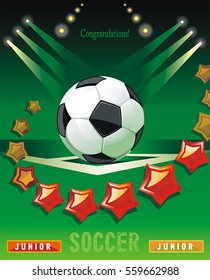 Stadium for soccer. Ball on green grass. Vector illustration or abstract poster for sport design with place for your text, eps8