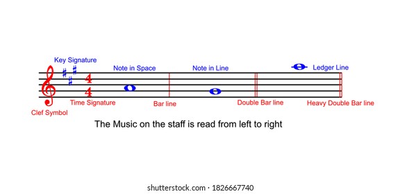 The staff of music, how to read sheet music