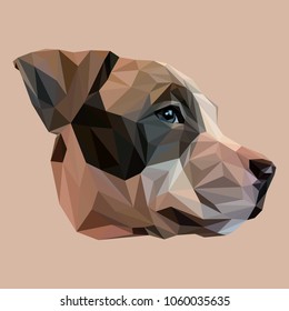 Stafford low poly design. Triangle vector illustration.