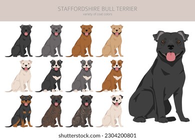 Staffordshire bull terrier. Different variaties of coat color bully dogs set.  Vector illustration