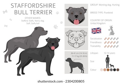 Patrona de toros de Staffordshire. Diferentes variedades de perritos de color de abrigo se ponen.  Ilustración del vector