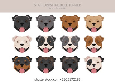Staffordshire bull terrier. Different variaties of coat color bully dogs set.  Vector illustration svg