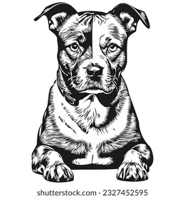 Staffordshire Bull Terrier dog logo vector black and white, vintage cute dog head engraved