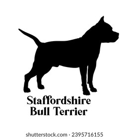 Staffordshire Bull Terrier. Dog silhouette dog breeds dog monogram logo dog face vector