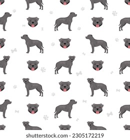 Staffordshire bull terrier seamless pattern.  Vector illustration