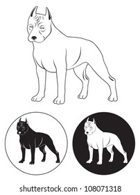 Staffordshire Terrier