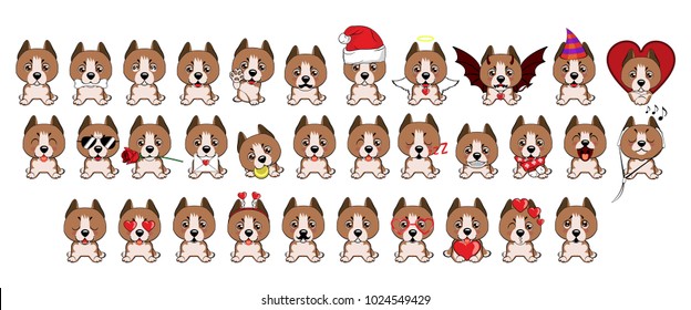Staffordshire Terrier dog. Big set of different little dogs. Brown puppies with different emotions.