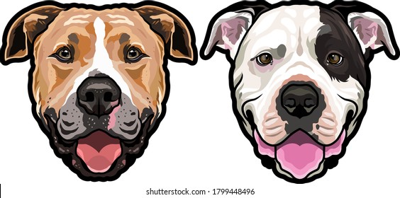 Staffordshire Terrier dog full color vector illustration