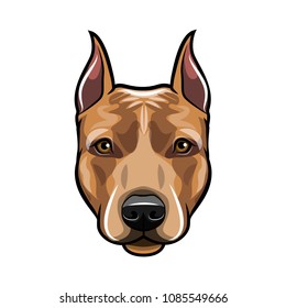 Staffordshire Terrier dog head. Dog portrait. Staffordshire terrier muzzle, face. Dog breed. Vector illustration.