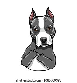 Download Rude Dog Images, Stock Photos & Vectors | Shutterstock