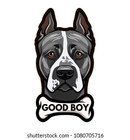 Staffordshire Terrier dog portrait. Bone. Good boy lettering. Vector illustration.