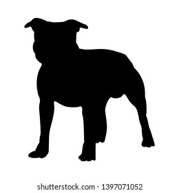 Staffordshire Terrier Dog Silhouette. Smooth Vector Illustration.