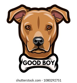 Staffordshire Terrier portrait. Bone. Good boy inscription. Dog breed. Vector illustration