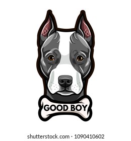 Staffordshire Terrier portrait. Bone. Good boy lettering. Staffordshire Terrier breed. Dog head, face, muzzle. Vector illustration.