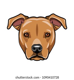 Staffordshire terrier portrait. Dog face, muzzle, head. Staffordshire terrier breed. Vector illustration.