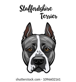 Staffordshire Terrier portrait. Dog head. Domestic dog face. Staffordshire terrier breed. Vector illustration.