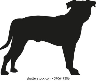 Staffordshire Terrier silhouette