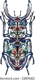 stag beetle with bright patterns, colorful, black ragged edge of the stroke, symmetry, insect, horns