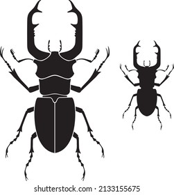 Stag beetle bug black and white vector illustration