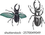 Stag beetle bundle design art and illustrator eps