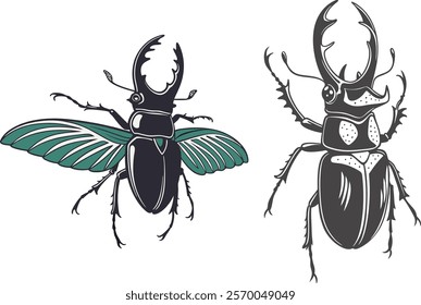 Stag beetle bundle design art and illustrator eps