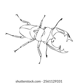 Stag beetle in doodle style. Vector illustration isolated on white background.