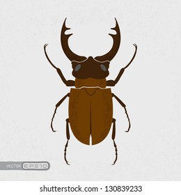 Stag beetle , eps10 vector format