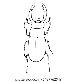 stag beetle hand drawn in doodle style. simple, minimalism,