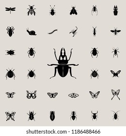 stag beetle icon. insect icons universal set for web and mobile