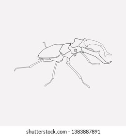 Stag beetle icon line element. Vector illustration of stag beetle icon line isolated on clean background for your web mobile app logo design.