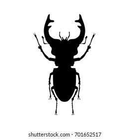 Stag beetle insect black silhouette animal. Vector Illustrator.