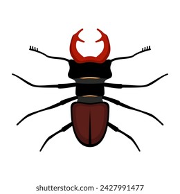 Stag beetle insect flat style vector illustration