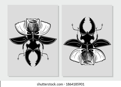Stag beetle insect with poppy flower. Flora and fauna vintage print. Tattoo style illustration print with plant and bug.