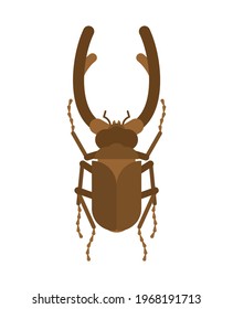 Stag beetle isolated. Beetle with large mandibles