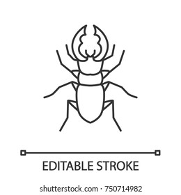 Stag beetle linear icon. Bug. Lucanus cervus. Thin line illustration. Contour symbol. Vector isolated outline drawing. Editable stroke