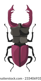 Stag Beetle from Lucanidae family, isolate bug with horns and big massive body with legs. Wildlife and wilderness, insects species and natural biodiversity. Zoology and types. Vector in flat style