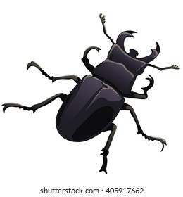 Stag beetle (Lucanus cervus) isolated on white background. Vector illustration.