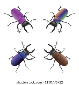 Stag beetle, Lucanus,  Lucanus_maculifemoratus vector
