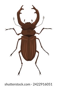Stag beetle, lucanus male with horns, rare european insect, vector illustration hand drawn style