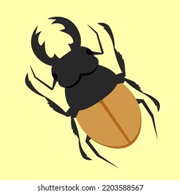 stag beetle on yellow background