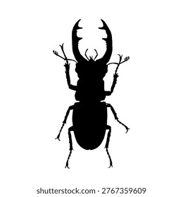 Stag beetle silhouette - vector illustration	