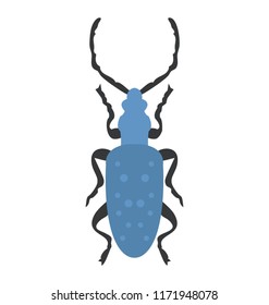 
Stag beetle with two arms containing sting
